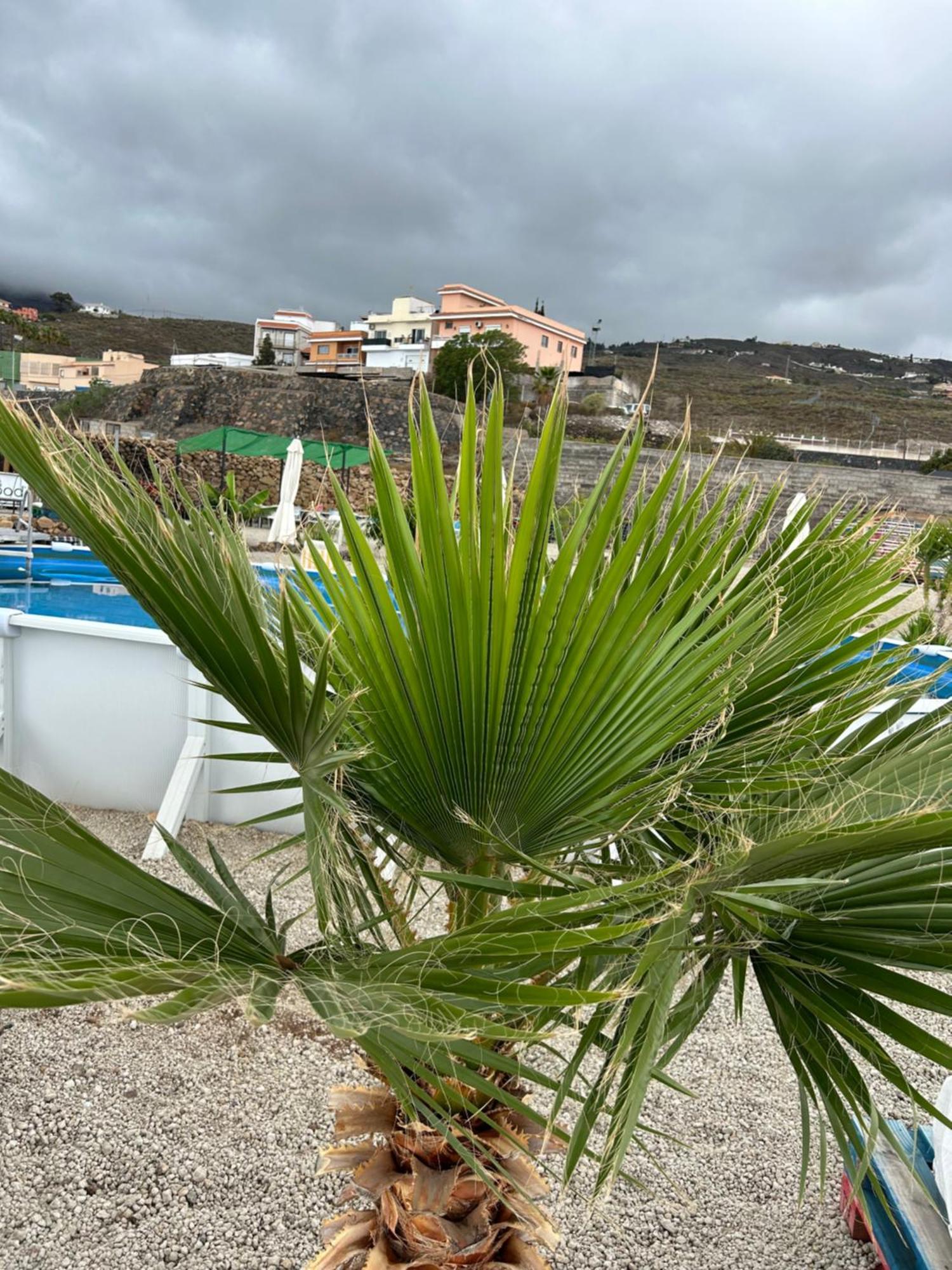 Casa Mirador Apartment Arona  Exterior photo